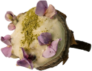 Food 1
